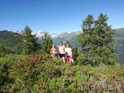 Holiday apartment Schernthaner Guest House - Environment photo 23