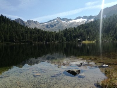 Holiday apartment Schernthaner Guest House - Environment photo 24