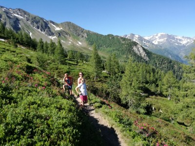 Holiday apartment Schernthaner Guest House - Environment photo 27