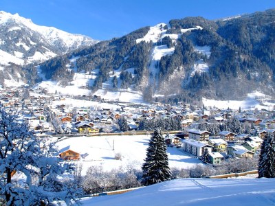 Holiday apartment Schernthaner Guest House - Environment photo 32