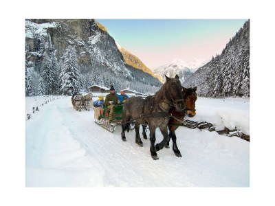 Holiday apartment Schernthaner Guest House - Environment photo 40