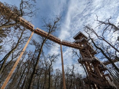 Apartment Ferienwohnung in Bad Camberg nahe Zentrum - Environment photo 32