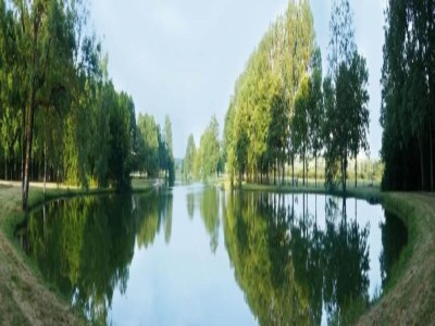 Apartment Stilvoller Aufenthalt im Zentrum von Sedan - Environment photo 25