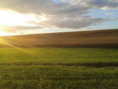 Apartment Stilvoller Aufenthalt im Zentrum von Sedan - Environment photo 32