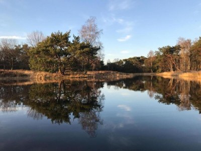 Holiday house Hütte im Leenderbos am Naturschutzgebiet - Environment photo 25