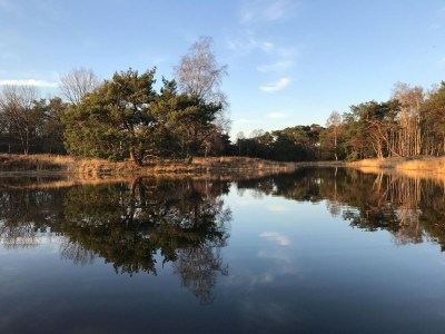 Holiday house Hütte im Leenderbos am Naturschutzgebiet - Environment photo 29