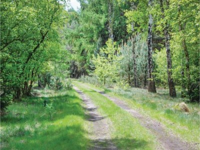 Holiday house Hütte im Leenderbos am Naturschutzgebiet - Environment photo 36