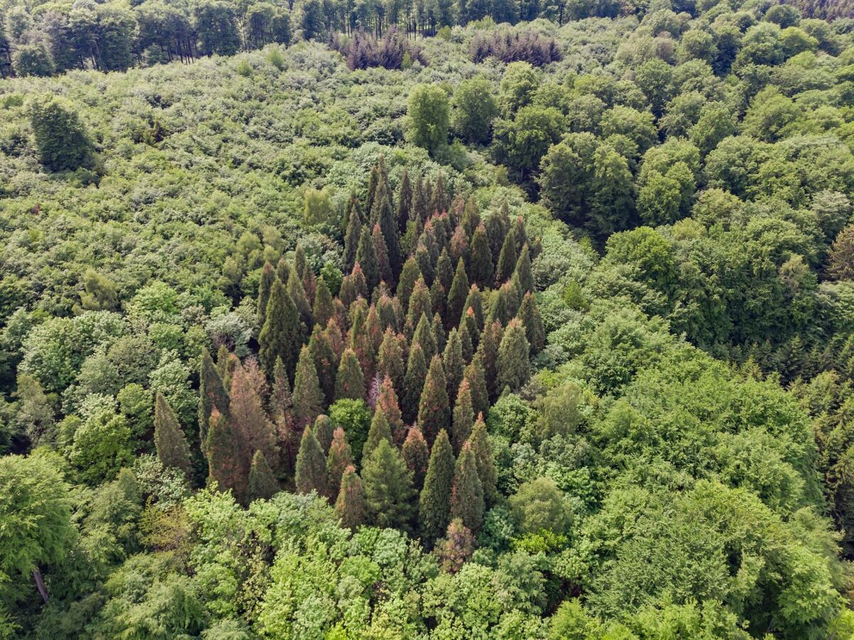 Apartment 4-Bettwohnung - Outdoor photo 5