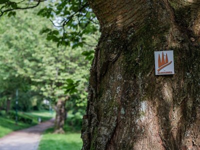 Apartment 4-Bettwohnung - Outdoor photo 6