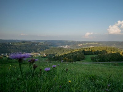 Apartment 4-Bettwohnung - Outdoor photo 11