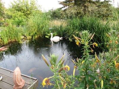 Apartment 4-Bettwohnung - Outdoor photo 17