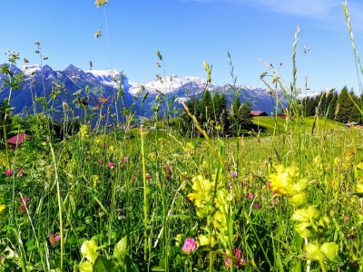 Holiday apartment Angelina - Environment photo 18