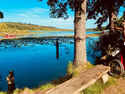 Holiday house exklusives skandinavisches Ferienhaus - Environment photo 34