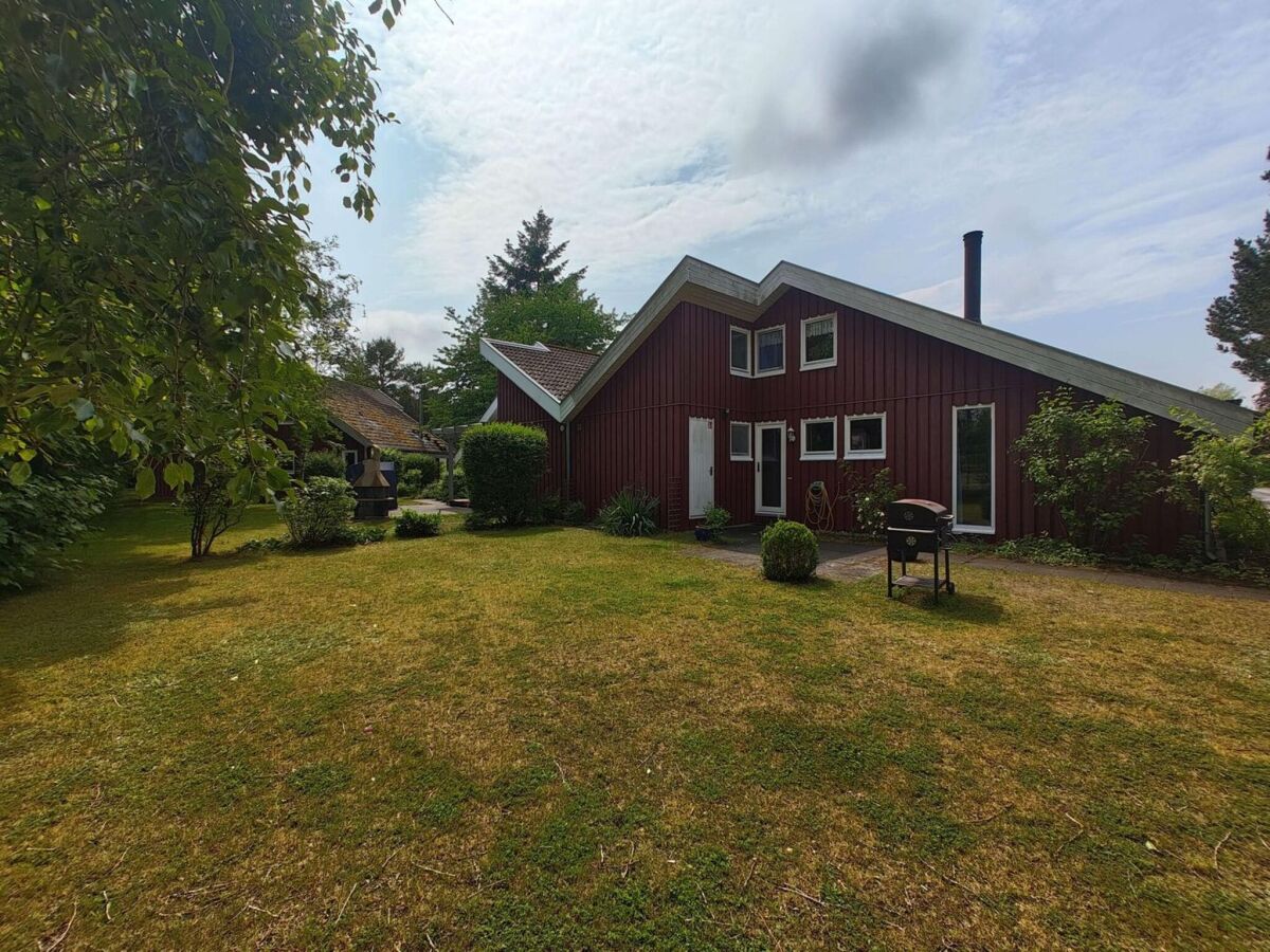 Holiday house exklusives skandinavisches Ferienhaus - Outdoor photo 4