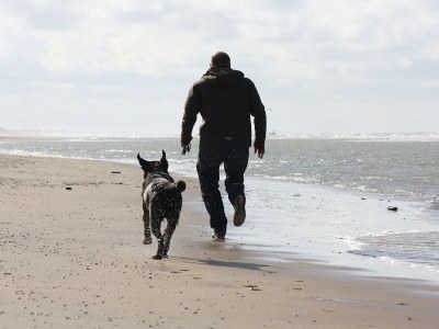 Holiday house Duinrust 4 - Environment photo 18