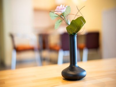 Apartment Ferienwohnung im Aparthotel Seepanorama - Features photo 12