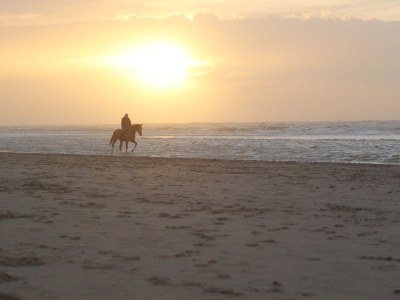 Holiday house Duinrust 8 - Environment photo 22