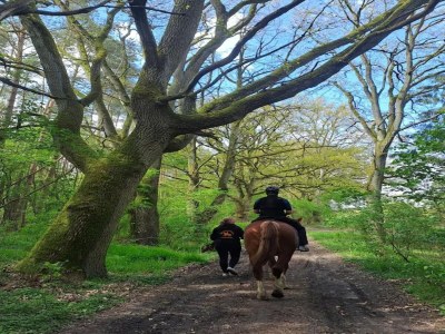 Holiday house Chalet in Wendorf - Environment photo 43