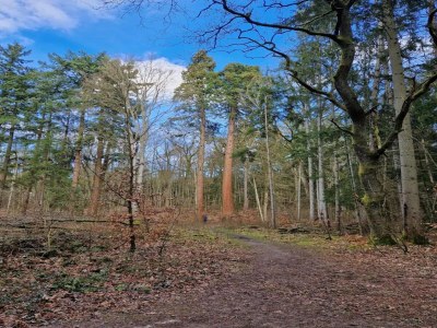 Holiday house Chalet in Wendorf - Environment photo 57
