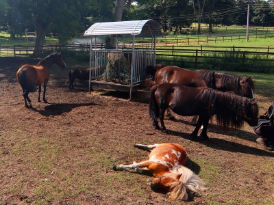 Holiday house Ferienhaus Oliver, Wendorf - Outdoor photo 7