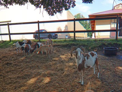 Holiday house Ferienhaus Oliver, Wendorf - Outdoor photo 8