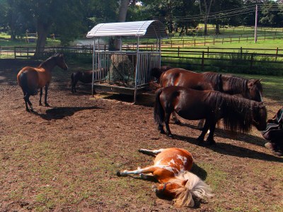 Holiday house Ferienhaus Oliver, Wendorf - Environment photo 22