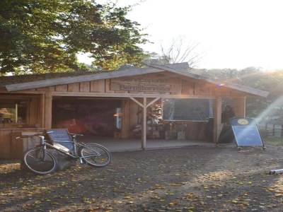 Holiday house Chalet mit Außensauna in Wendorf - Environment photo 19