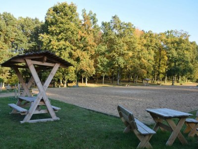 Holiday house Chalet mit Außensauna in Wendorf - Environment photo 21