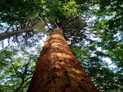 Holiday house Chalet in Wendorf - Environment photo 46