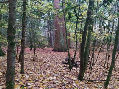 Holiday house Chalet in Wendorf - Environment photo 51