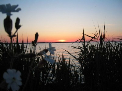 Apartment liebevoll eingerichtetes Appartement - Environment photo 19