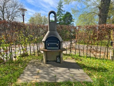 Holiday house skandinavisches Ferienhaus in Mirow - Outdoor photo 36