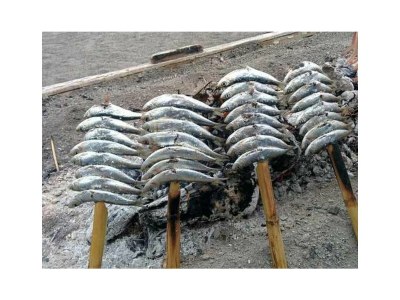 Villa Villa Familia Castillo - Environment photo 24