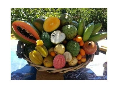 Villa Villa Familia Castillo - Environment photo 25