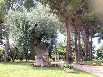 Holiday apartment Girasole - Outdoor photo 3