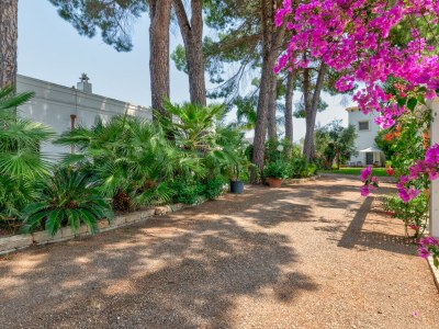 Holiday apartment Girasole - Outdoor photo 7