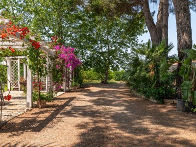 Holiday apartment Girasole - Outdoor photo 8