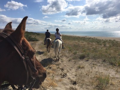 Holiday apartment Girasole - Environment photo 28