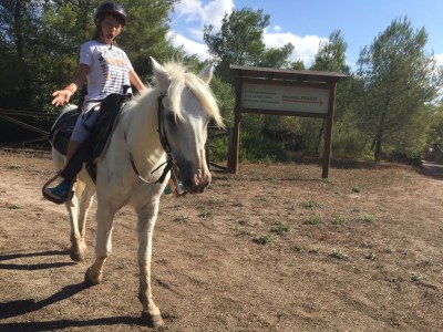 Holiday apartment Girasole - Environment photo 29