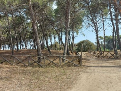 Holiday apartment Girasole - Environment photo 34