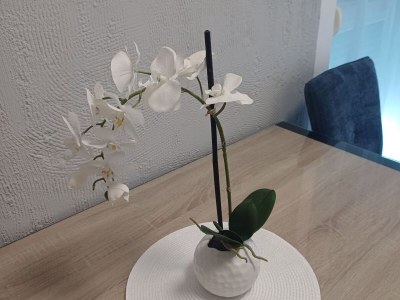 Apartment Apartment Alba - Three Bedroom Apartment with Loggia - Outdoor photo 4