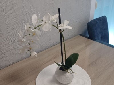 Apartment Apartment Alba - Three Bedroom Apartment with Loggia - Features photo 21