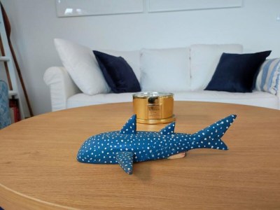 Apartment SALT Apartment - One Bedroom Apartment with Terrace and Sea View - Features photo 42