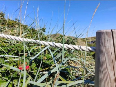 Holiday house 4 star holiday home in Ringkøbing - Outdoor photo 18
