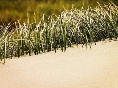 Holiday house 4 star holiday home in Ringkøbing - Outdoor photo 19