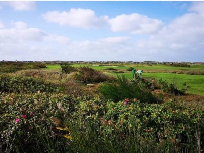 Holiday house 4 star holiday home in Ringkøbing - Outdoor photo 31