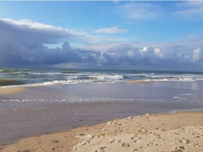 Holiday house 4 star holiday home in Ringkøbing - Outdoor photo 32