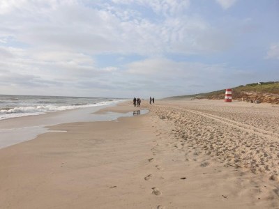 Holiday house 4 star holiday home in Ringkøbing - Outdoor photo 43