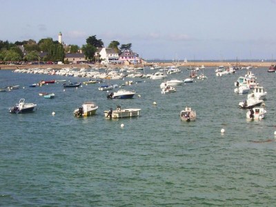 Holiday house Cottage in Saint-Gildas near Gulf of Morbihan - Outdoor photo 15