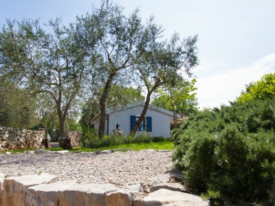 Holiday house Das blaue Haus - Outdoor photo 21